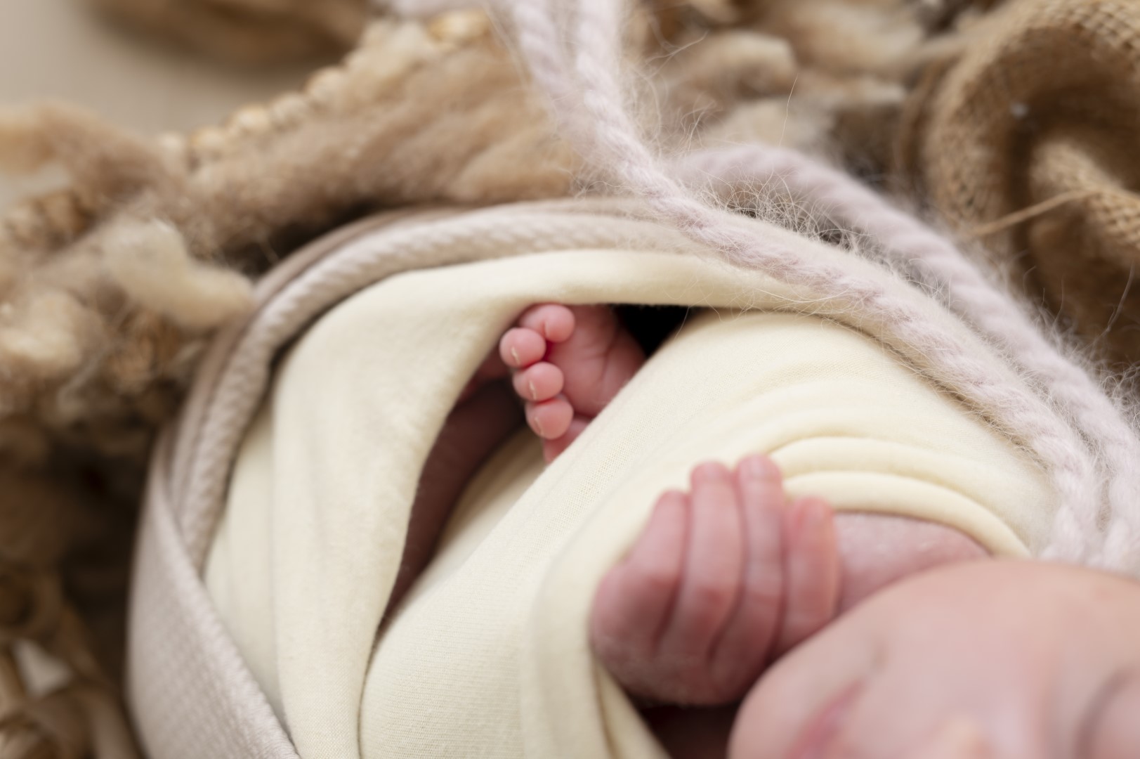 צילומי ניובורן 14